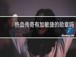 热血传奇有加敏捷的勋章吗