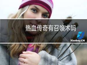 热血传奇有召唤术吗