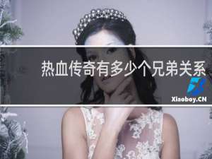 热血传奇有多少个兄弟关系