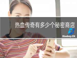 热血传奇有多少个秘密商店