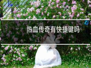 热血传奇有快捷键吗
