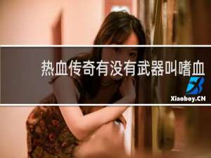 热血传奇有没有武器叫嗜血