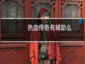 热血传奇有辅助么