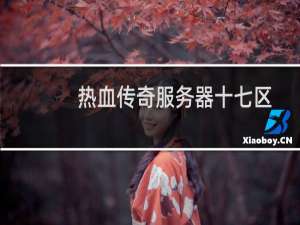 热血传奇服务器十七区