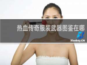 热血传奇服装武器图鉴在哪