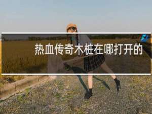 热血传奇木桩在哪打开的