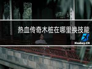 热血传奇木桩在哪里换技能