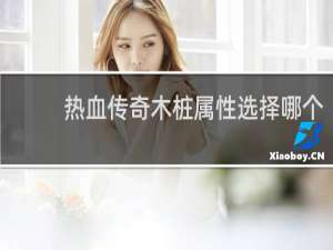 热血传奇木桩属性选择哪个