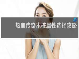 热血传奇木桩属性选择攻略