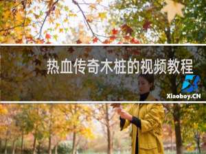 热血传奇木桩的视频教程