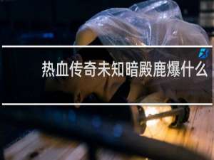 热血传奇未知暗殿鹿爆什么