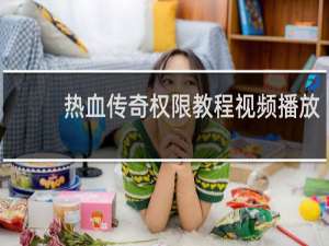 热血传奇权限教程视频播放