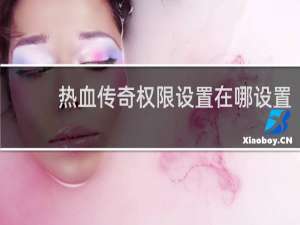 热血传奇权限设置在哪设置