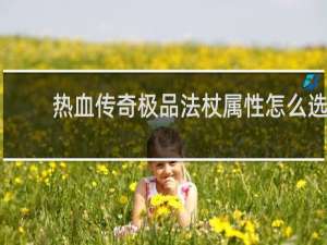 热血传奇极品法杖属性怎么选