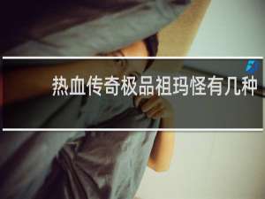 热血传奇极品祖玛怪有几种