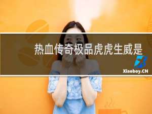 热血传奇极品虎虎生威是