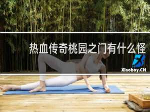 熱血傳奇桃園之門有什么怪