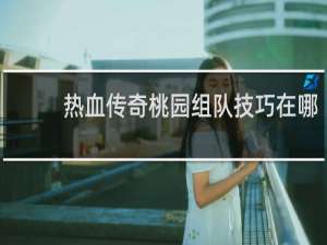 热血传奇桃园组队技巧在哪