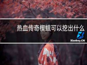 热血传奇楔蛾可以挖出什么