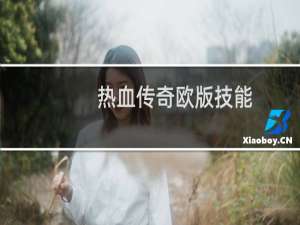 热血传奇欧版技能