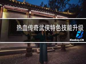 热血传奇武侠特色技能升级