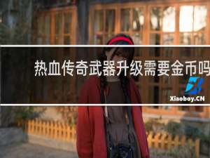 热血传奇武器升级需要金币吗