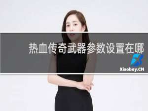热血传奇武器参数设置在哪