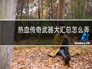 热血传奇武器大汇总怎么弄