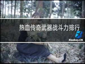 热血传奇武器战斗力排行
