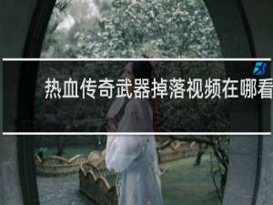 热血传奇武器掉落视频在哪看