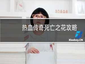 热血传奇死亡之花攻略