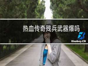 热血传奇残兵武器爆吗