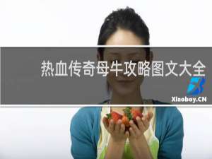 热血传奇母牛攻略图文大全