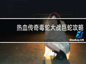 热血传奇毒蛇大战巨蛇攻略
