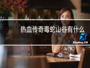 热血传奇毒蛇山谷有什么