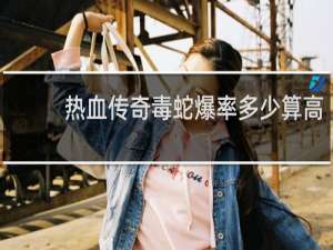 热血传奇毒蛇爆率多少算高