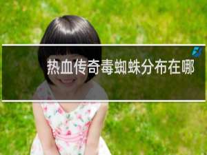 热血传奇毒蜘蛛分布在哪