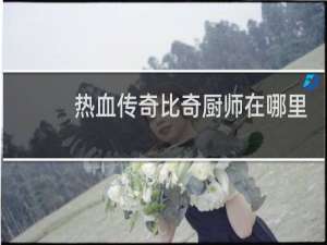 热血传奇比奇厨师在哪里