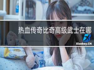 热血传奇比奇高级武士在哪