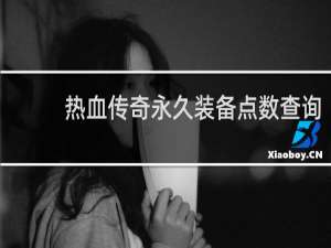 热血传奇永久装备点数查询