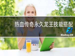 热血传奇永久龙王技能搭配