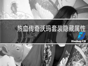 热血传奇沃玛套装隐藏属性