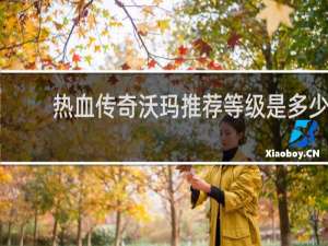热血传奇沃玛推荐等级是多少
