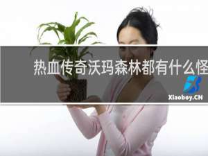 热血传奇沃玛森林都有什么怪