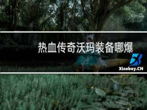 热血传奇沃玛装备哪爆