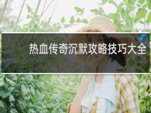 热血传奇沉默攻略技巧大全
