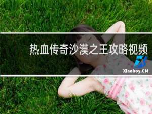 热血传奇沙漠之王攻略视频