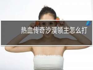 热血传奇沙漠领主怎么打