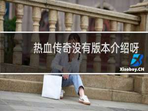 热血传奇没有版本介绍呀