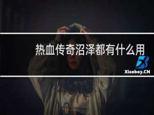 热血传奇沼泽都有什么用